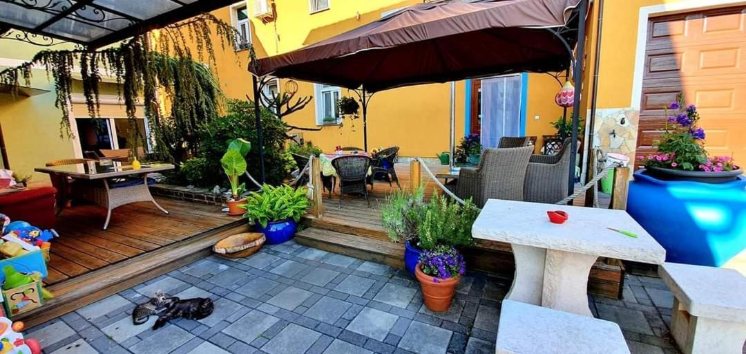 פטוי Hostel Sonce מראה חיצוני תמונה