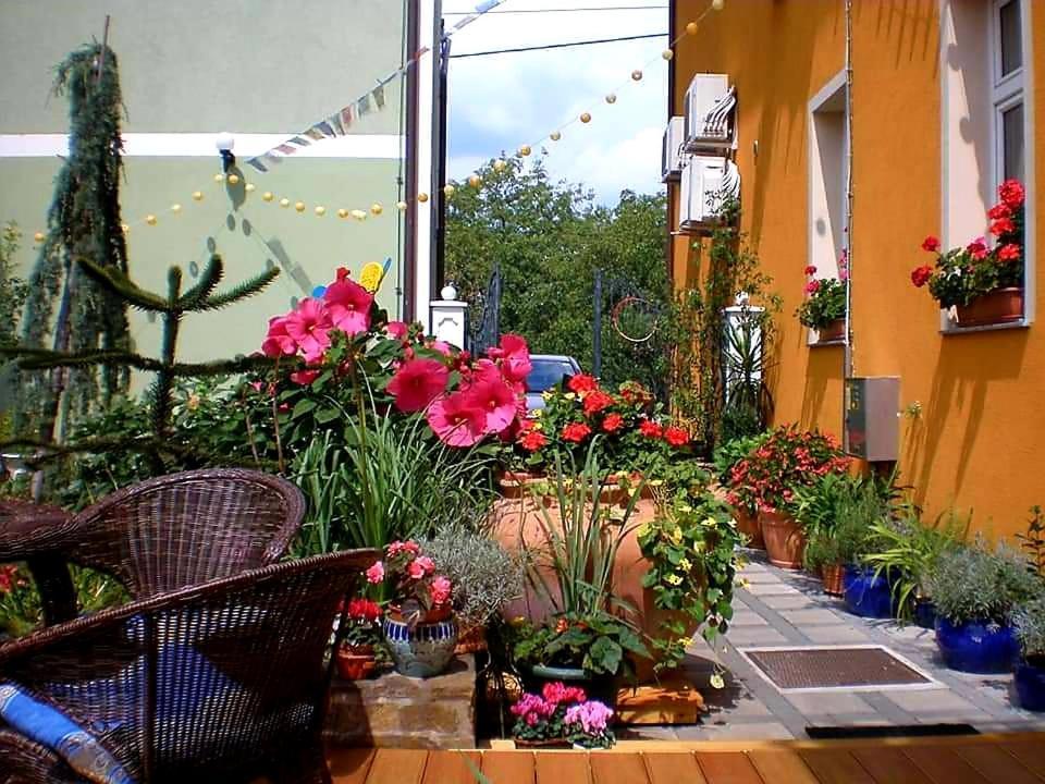 פטוי Hostel Sonce מראה חיצוני תמונה
