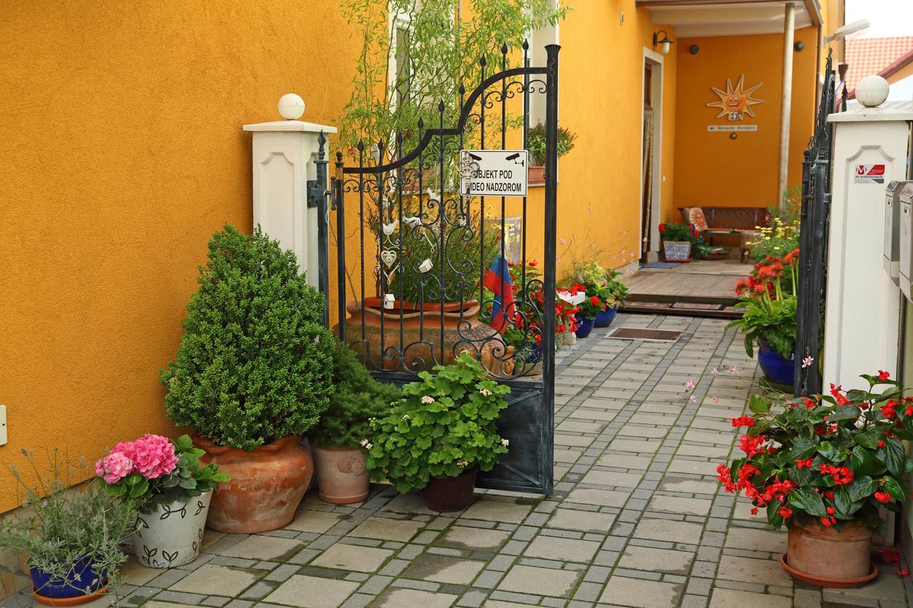 פטוי Hostel Sonce מראה חיצוני תמונה