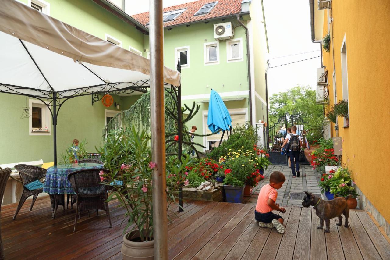 פטוי Hostel Sonce מראה חיצוני תמונה
